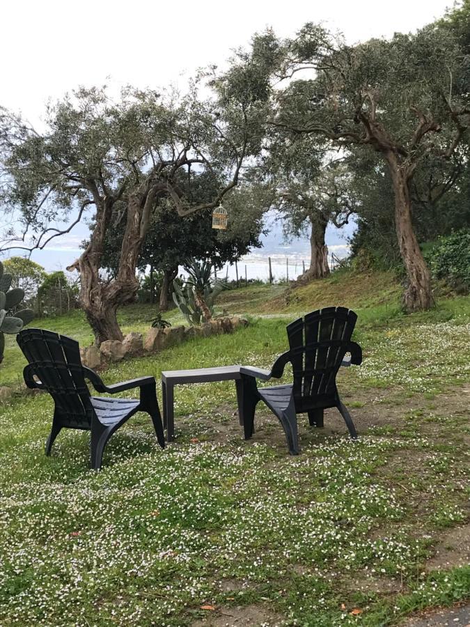 A Casa Di Peppino Villa Greco 丁达利 外观 照片