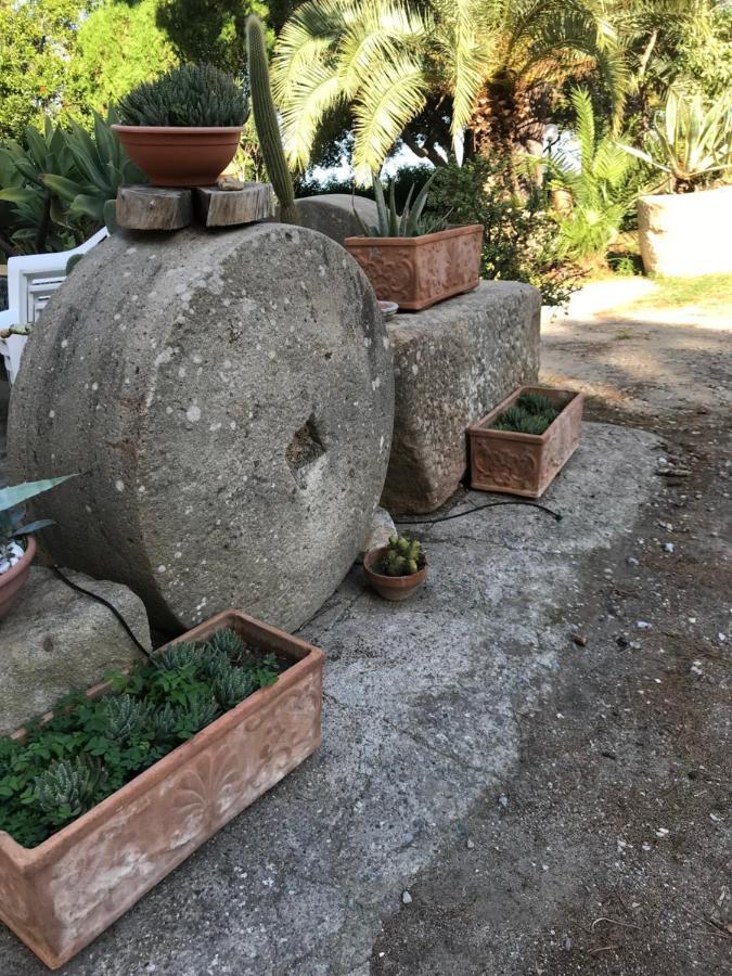 A Casa Di Peppino Villa Greco 丁达利 外观 照片