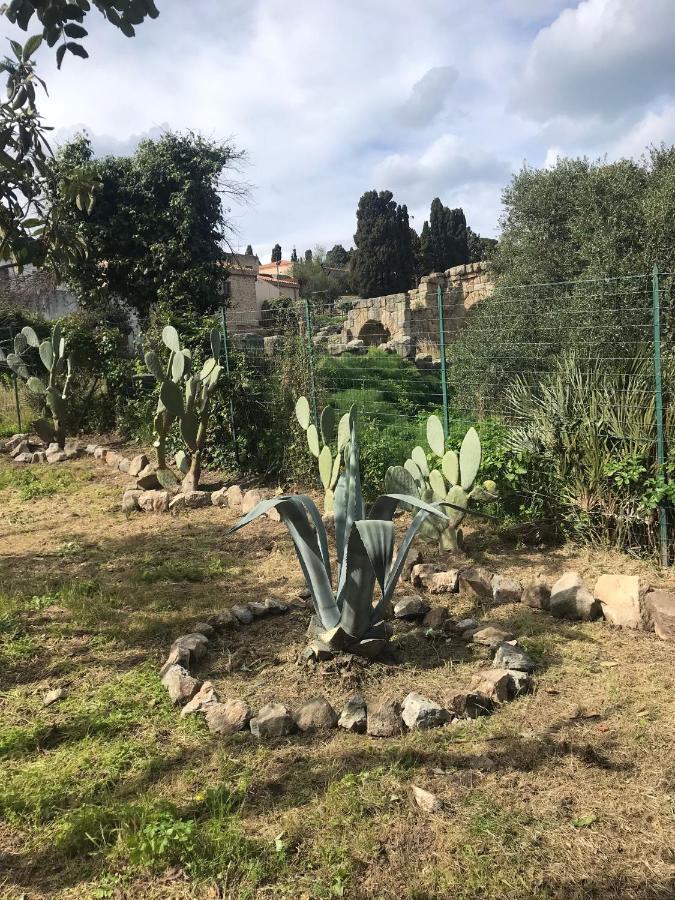 A Casa Di Peppino Villa Greco 丁达利 外观 照片