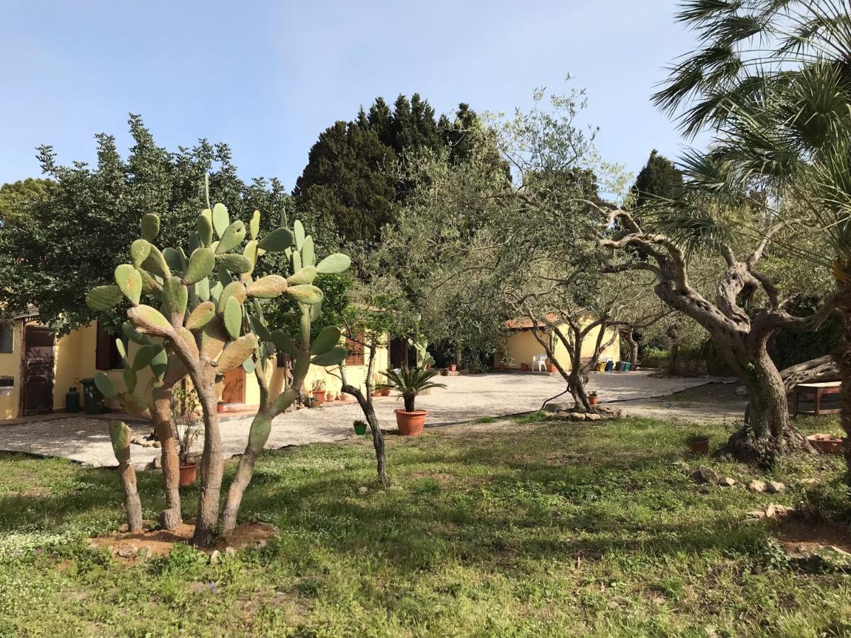 A Casa Di Peppino Villa Greco 丁达利 外观 照片