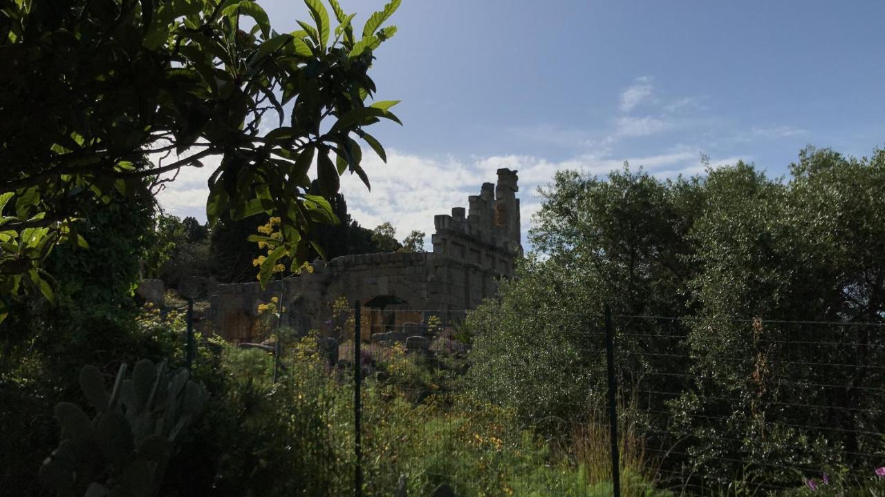 A Casa Di Peppino Villa Greco 丁达利 外观 照片