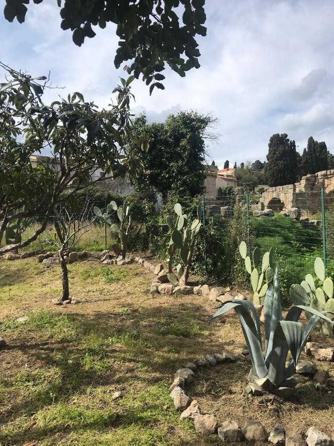 A Casa Di Peppino Villa Greco 丁达利 外观 照片