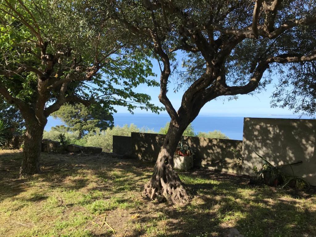 A Casa Di Peppino Villa Greco 丁达利 外观 照片