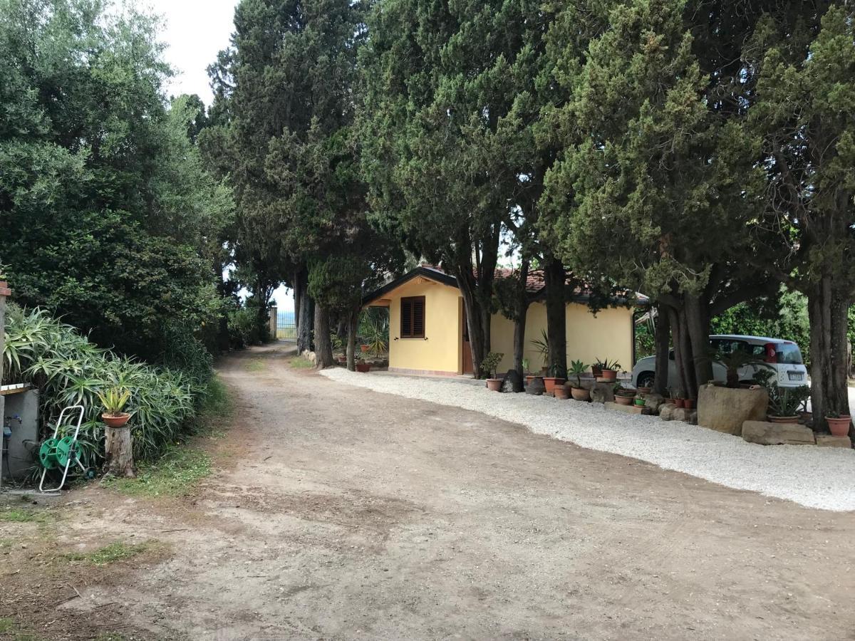 A Casa Di Peppino Villa Greco 丁达利 外观 照片
