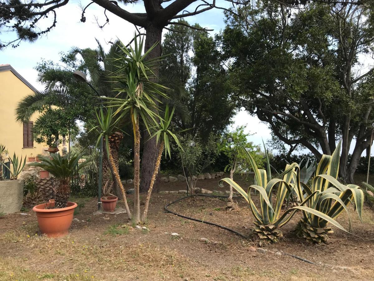 A Casa Di Peppino Villa Greco 丁达利 外观 照片