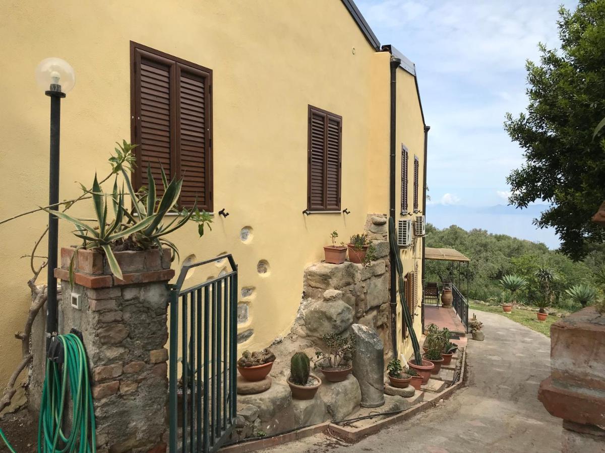 A Casa Di Peppino Villa Greco 丁达利 外观 照片