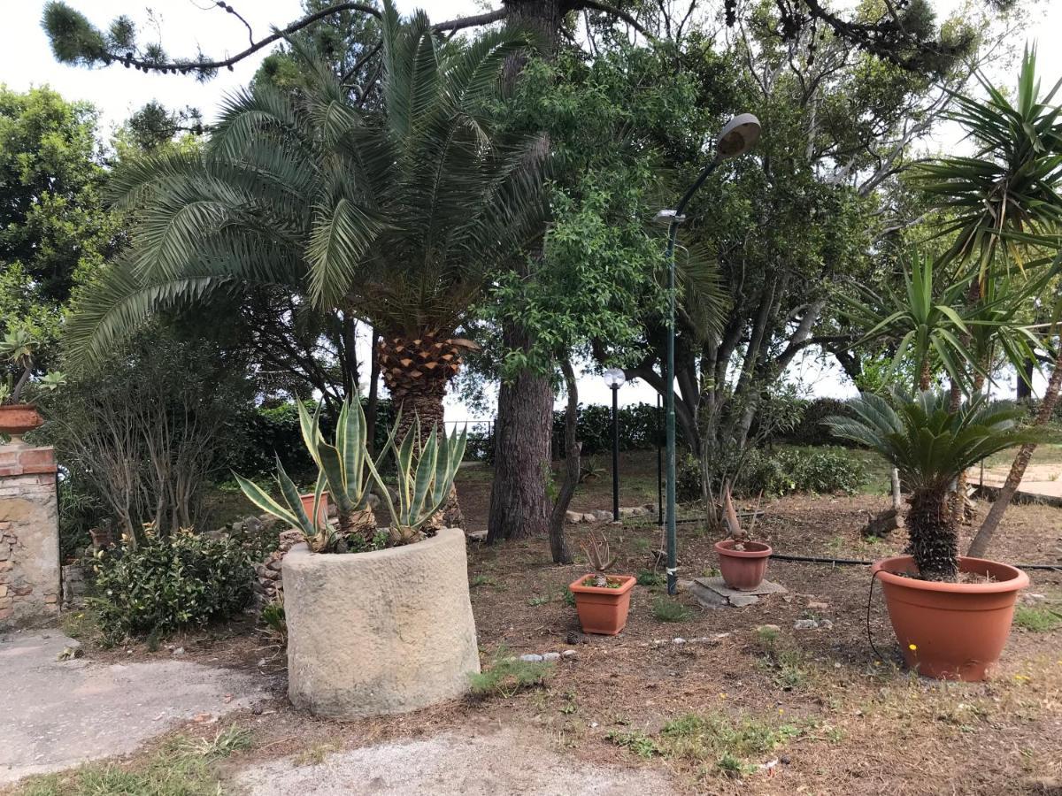 A Casa Di Peppino Villa Greco 丁达利 外观 照片