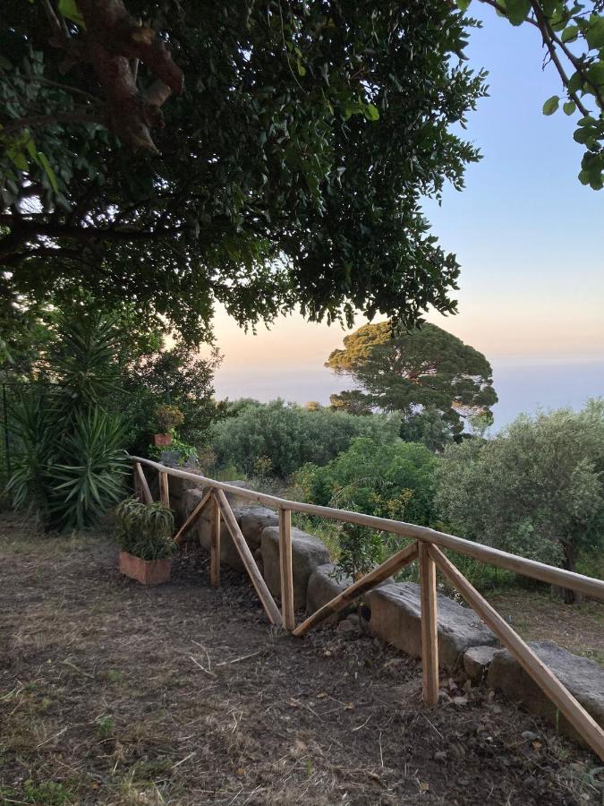A Casa Di Peppino Villa Greco 丁达利 外观 照片