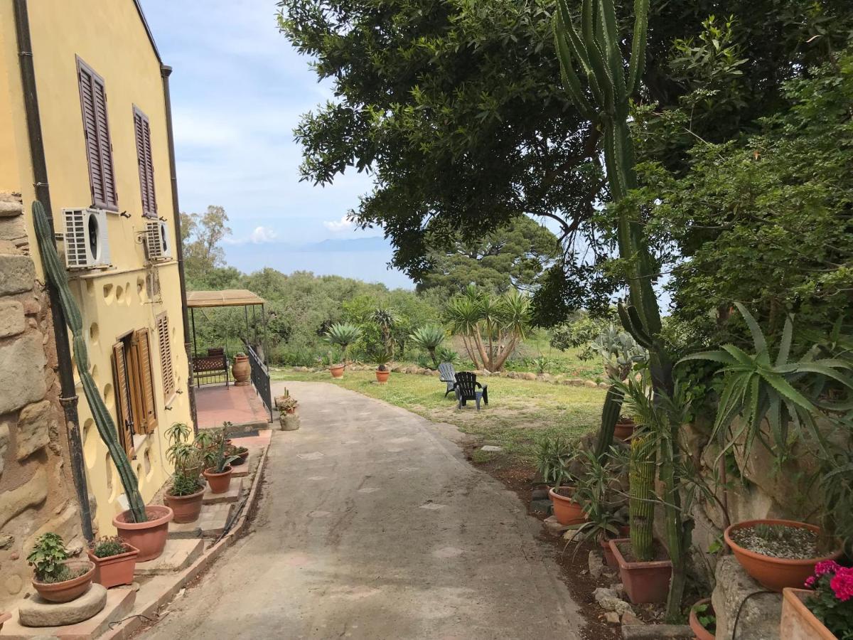 A Casa Di Peppino Villa Greco 丁达利 外观 照片