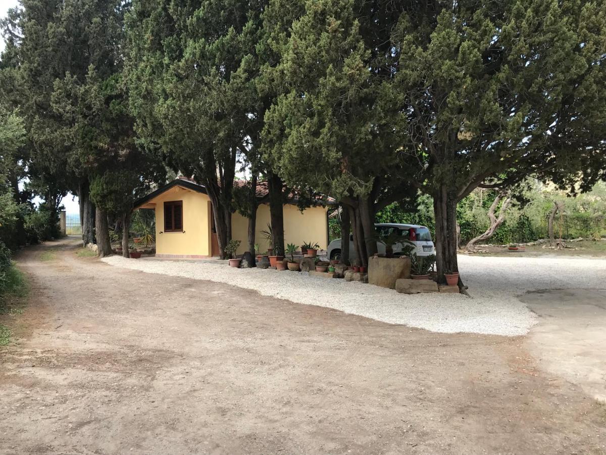 A Casa Di Peppino Villa Greco 丁达利 外观 照片